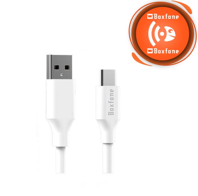 Cable de carga rápida Tipo C – USB Premium (1metro)